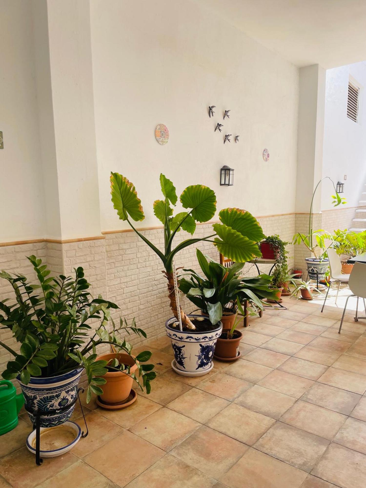 Patio De Los Barberos Valle de Abdalagis Ngoại thất bức ảnh
